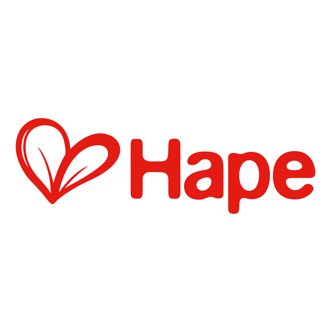 Hape pour bébé maroc -www.babyboss.ma- Babyboss.ma