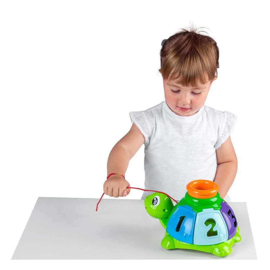 Tortue à Balles - Chicco - Chicco - Jouets Sensoriels pour bébé Maroc -www.babyboss.ma