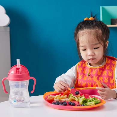 Sippy cup - Pink pomegranate