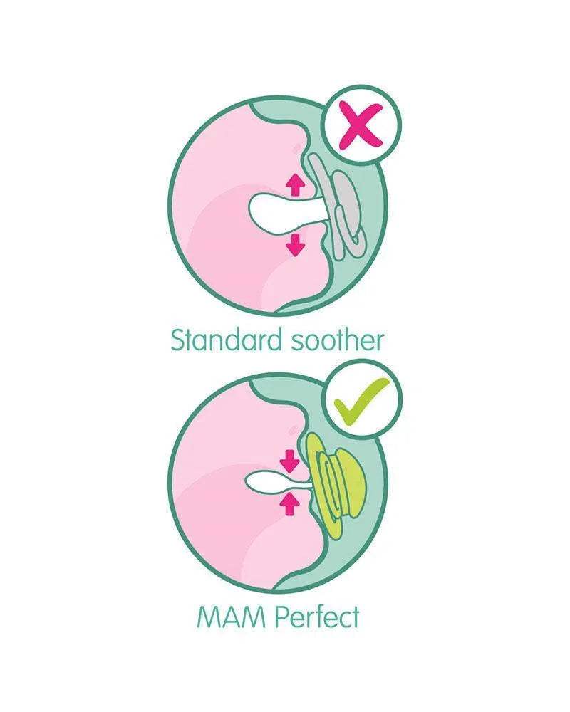 Mam Perfect silicone orthodontic pacifier 6+ mois- Elephant - MAM - pour bébé Maroc -www.babyboss.ma