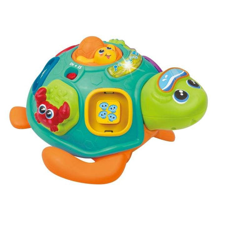 Pull-along Turtle - Winfun