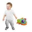 Pull-along Turtle - Winfun