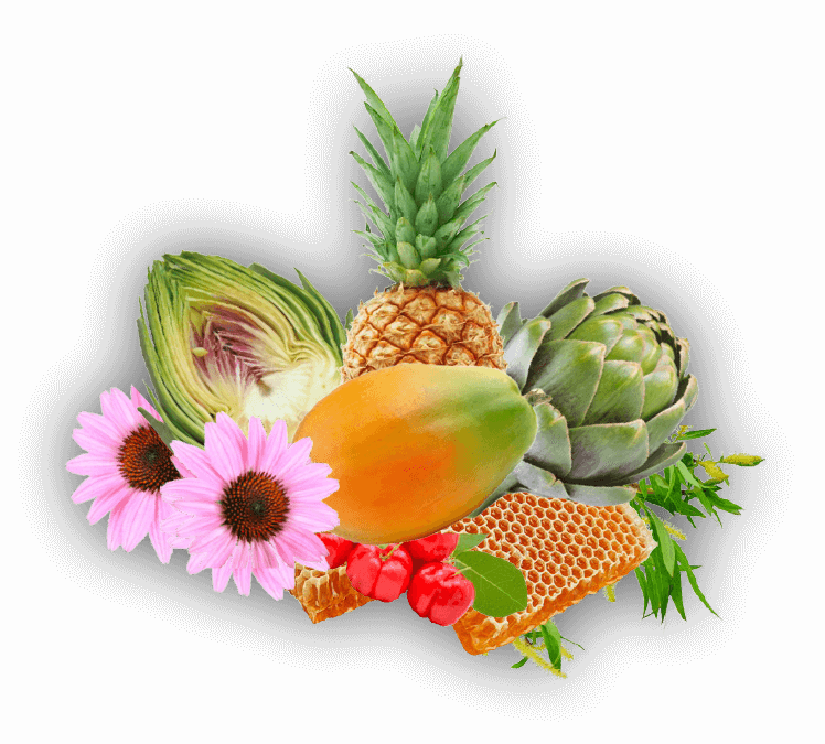 biofar_phyto_digestion_8_comprims_effervescents-52235123523895-bebe-babyboss.ma-maroc - Babyboss.ma -bebe-maroc