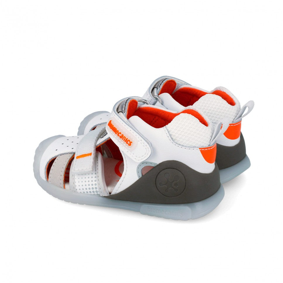 Biogateo blanc