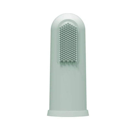 Dr. Brown's Brosse à dents en silicone avec étui 3M+ - Vert - Dr. Brown's - Brosse à dents pour bébé Maroc -www.babyboss.ma