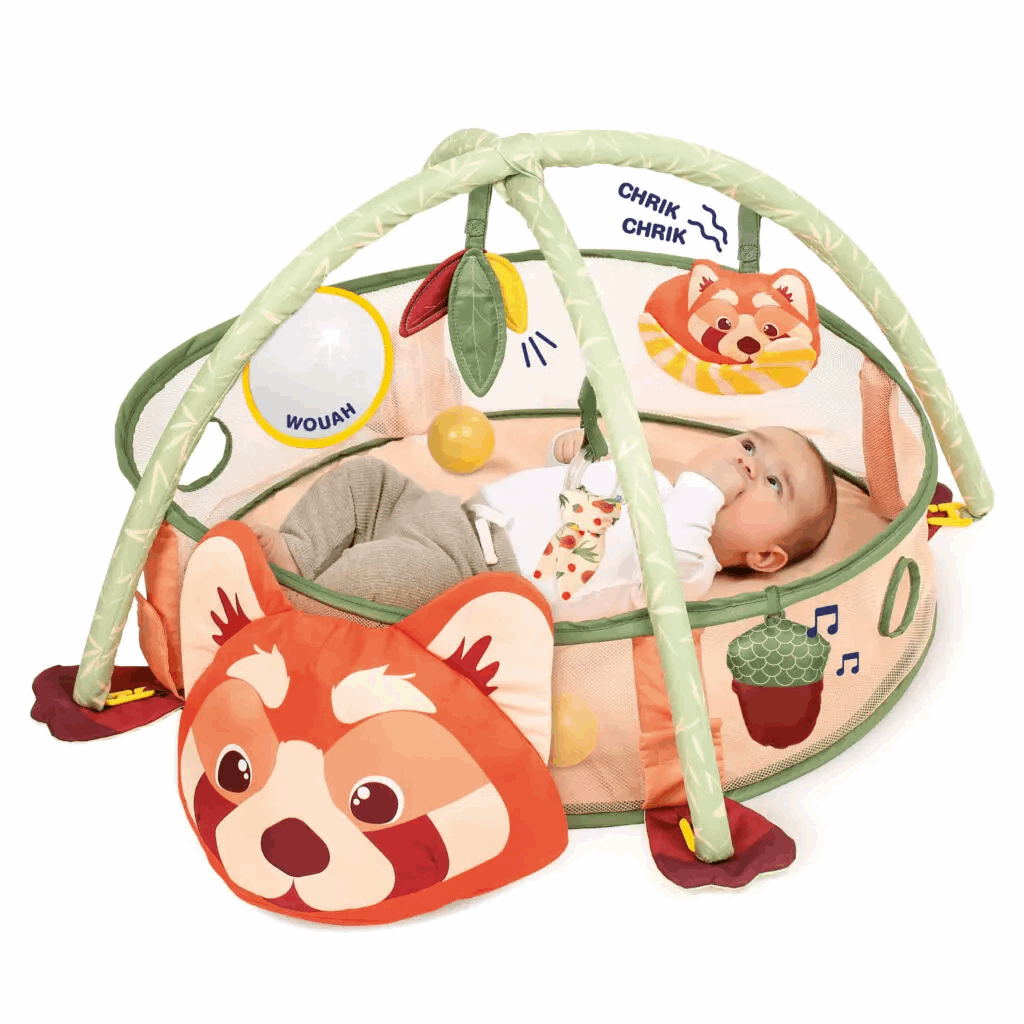 ludi_aire_dveil_et_piscine_balles-52353512702263-bebe-babyboss.ma-maroc - Babyboss.ma -bebe-maroc