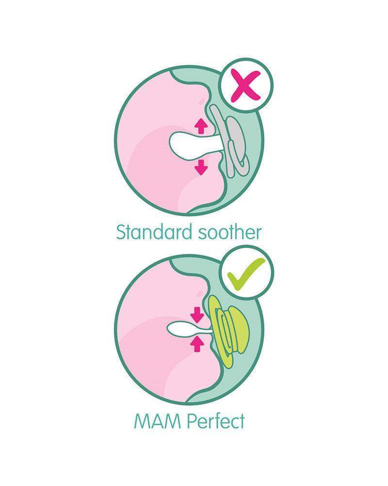 Sucette MAM Perfect 0-6m - loutre de mer - MAM - Sucettes pour bébé Maroc -www.babyboss.ma