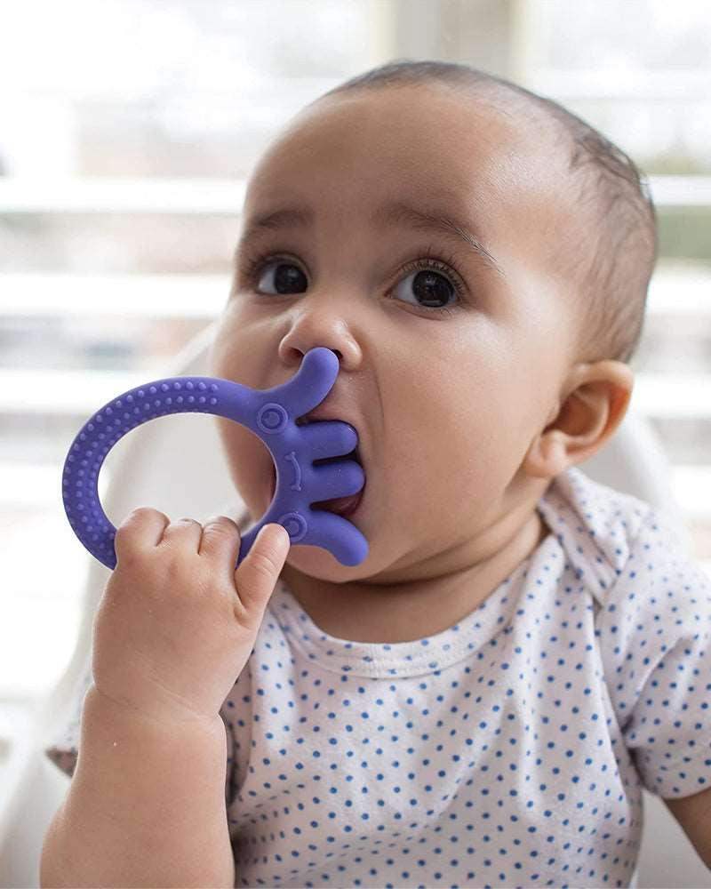 حلقة التسنين على شكل أخطبوط من دكتور براون فليكسيز فريندز 3 أشهر+ - أرجواني - BABYBOSS