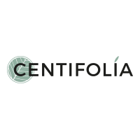 Centifolia Marruecos