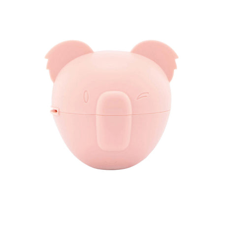 Boîte de rangement pour 2 sucettes Nûby