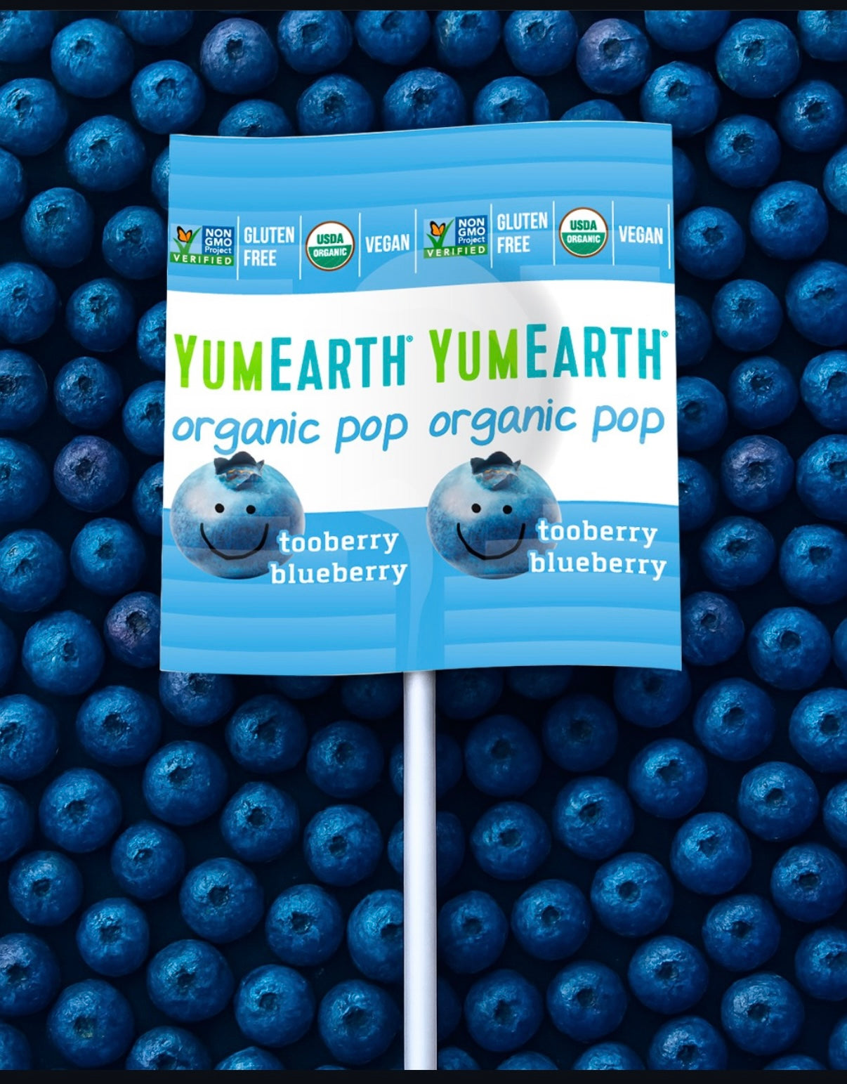 Sucettes biologiques YumEarth AROMATISÉES AUX FRUITS - Yumearth - 