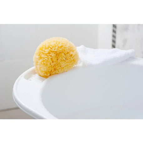 BELLINI natural sponge - BELLINI - Nettoyants pour le corps pour bébé Maroc -www.babyboss.ma