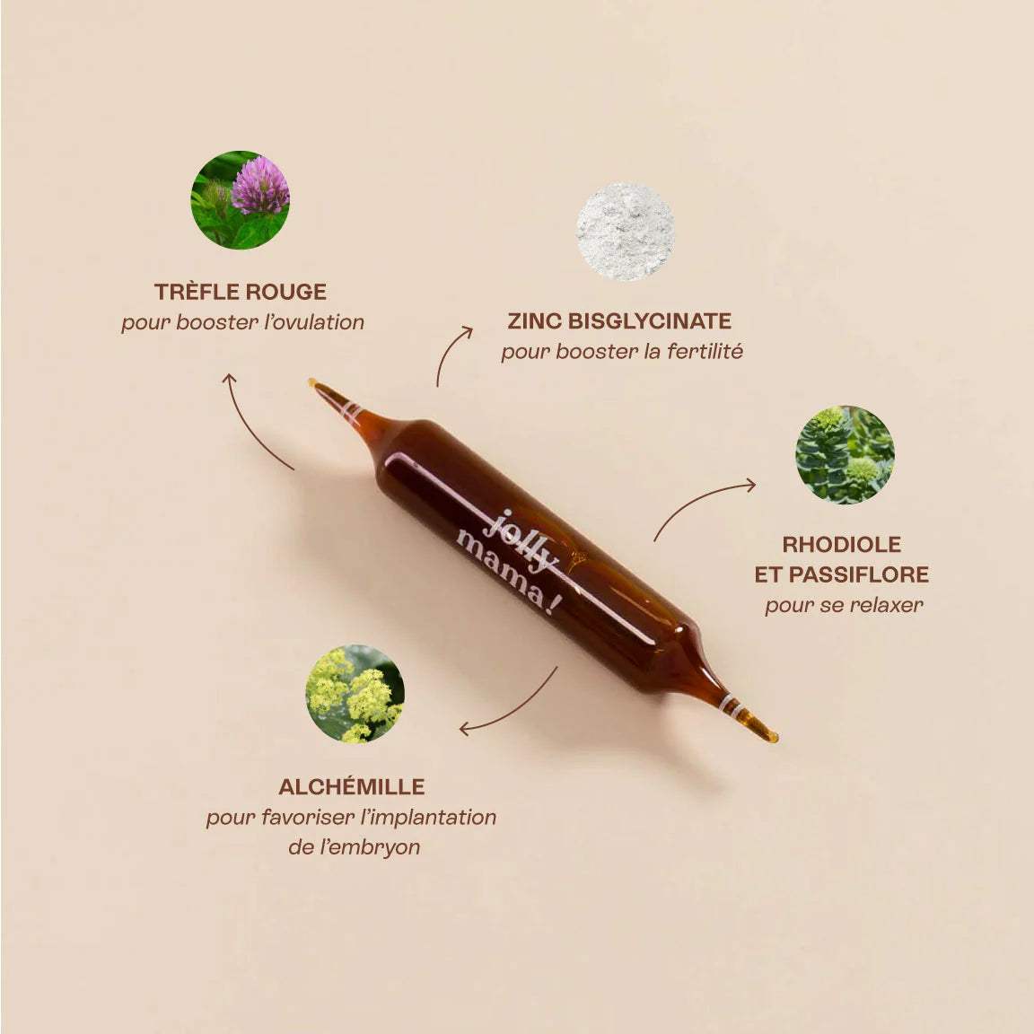 COCOONING + BOOSTE LA FERTILITÉ - Jolly Mama : Soutien Naturel Préconception - Jolly Mama Maroc - pour bébé Maroc -www.babyboss.ma