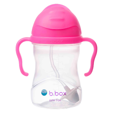 Sippy cup - Pink pomegranate