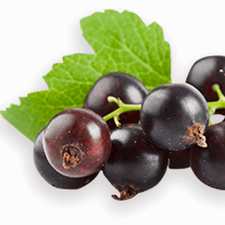 biofar_fer_acide_folique-52235095507255-bebe-babyboss.ma-maroc - Babyboss.ma -bebe-maroc