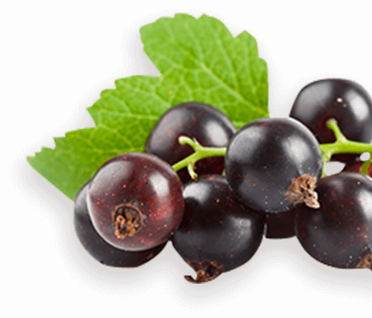 biofar_fer_acide_folique-52235095507255-bebe-babyboss.ma-maroc - Babyboss.ma -bebe-maroc