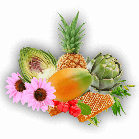 biofar_phyto_digestion_8_comprims_effervescents-52235123523895-bebe-babyboss.ma-maroc - Babyboss.ma -bebe-maroc