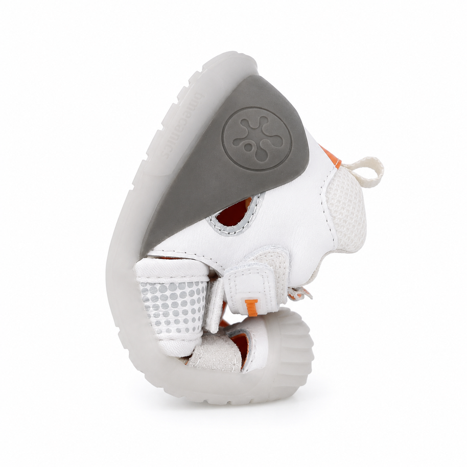 Biogateo blanc