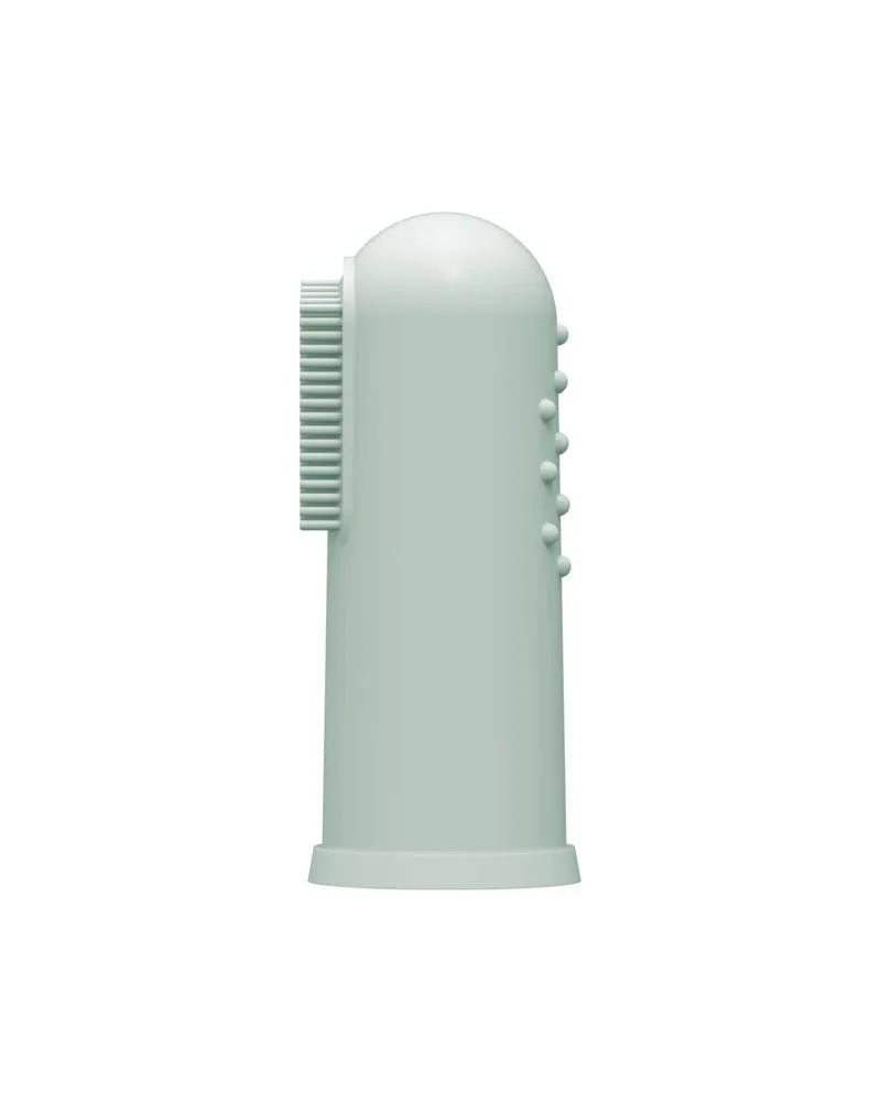 Dr. Brown's Brosse à dents en silicone avec étui 3M+ - Vert - Dr. Brown's - pour bébé maroc