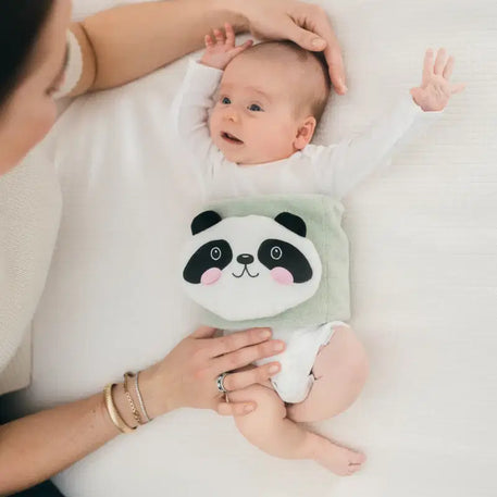 Dr. Brown's Ceinture de protection pour bébé - Panda