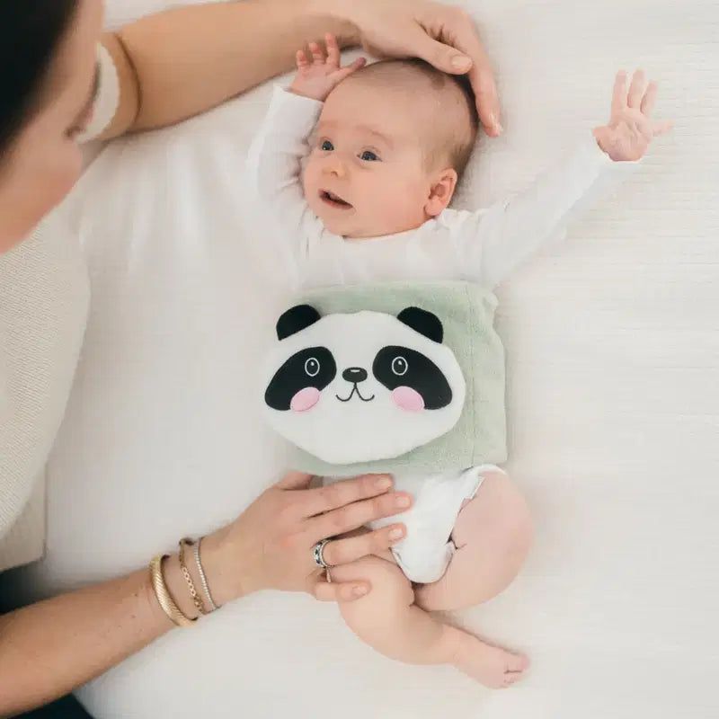 Dr. Brown's Ceinture de protection pour bébé - Panda