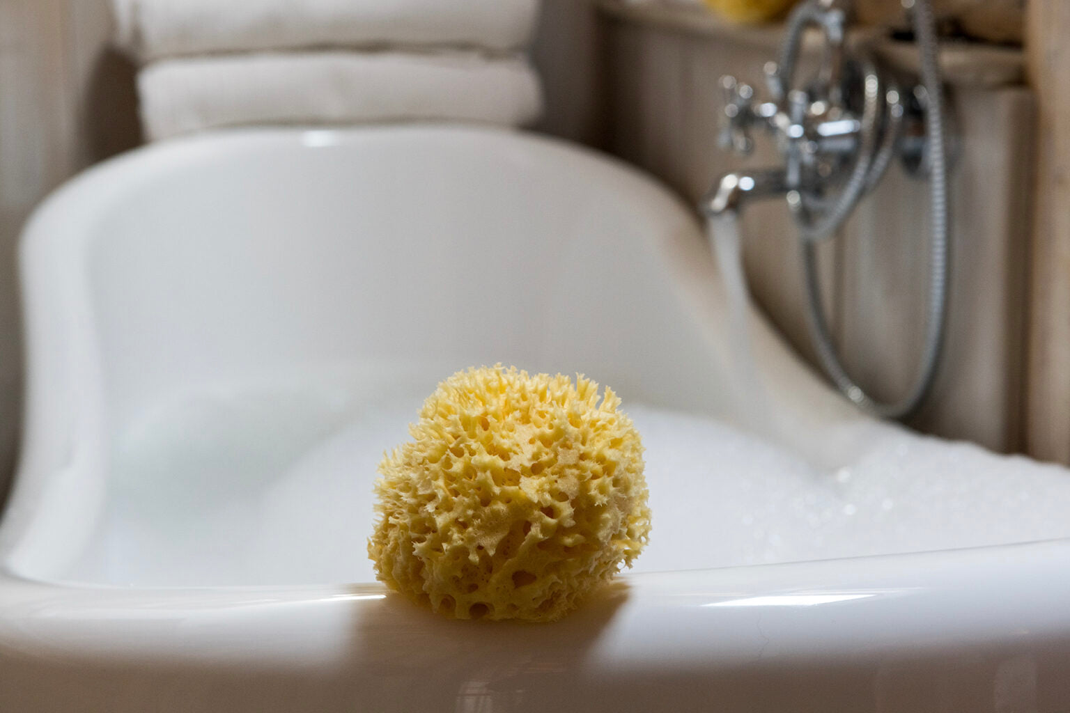 BELLINI natural sponge