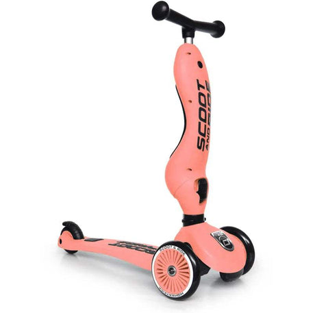 scoot_and_ride_trottinette_2en1_highwaykick_1_-_pche-47065518211383-bebe-babyboss.ma-maroc - Babyboss.ma -bebe-maroc