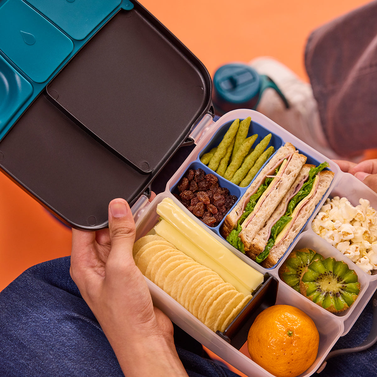 silicone bento buddy - lunchbox - forest