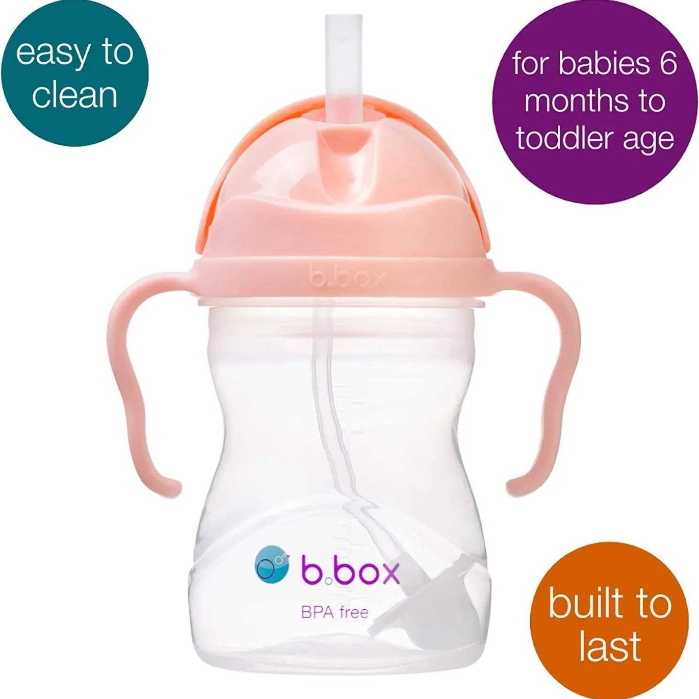 sippy cup - tutti frutti - BBOX USA - Sippy cups pour bébé Maroc -www.babyboss.ma