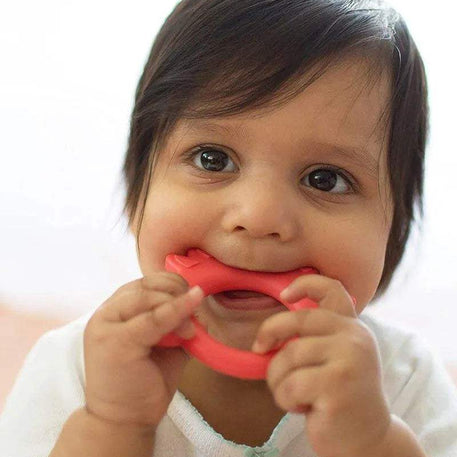 Dr. Brown's Anneau de dentition Flexees Friends Renard 3M+ - Rouge - Dr. Brown's - Anneau de dentition pour bébé Maroc -www.babyboss.ma