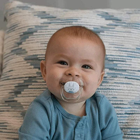 Dr. Brown's Pack de 2 Sucettes Orthodontiques Stage1 0-6M - Lapin Abeille - Dr. Brown's - Sucettes pour bébé Maroc -www.babyboss.ma