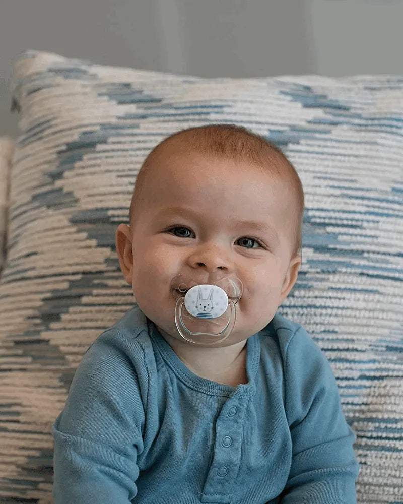 Dr. Brown's Pack de 2 Sucettes Orthodontiques Stage1 0-6M - Lapin Abeille - Dr. Brown's - Sucettes pour bébé Maroc -www.babyboss.ma