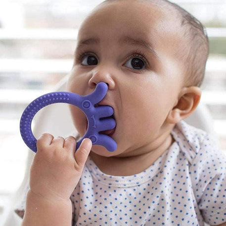 حلقة التسنين على شكل أخطبوط من دكتور براون فليكسيز فريندز 3 أشهر+ - أرجواني - BABYBOSS