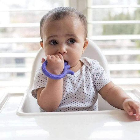 حلقة التسنين على شكل أخطبوط من دكتور براون فليكسيز فريندز 3 أشهر+ - أرجواني - BABYBOSS