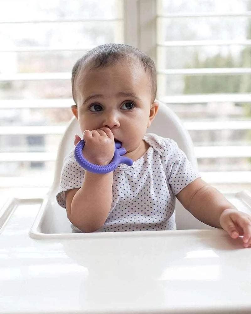حلقة التسنين على شكل أخطبوط من دكتور براون فليكسيز فريندز 3 أشهر+ - أرجواني - BABYBOSS