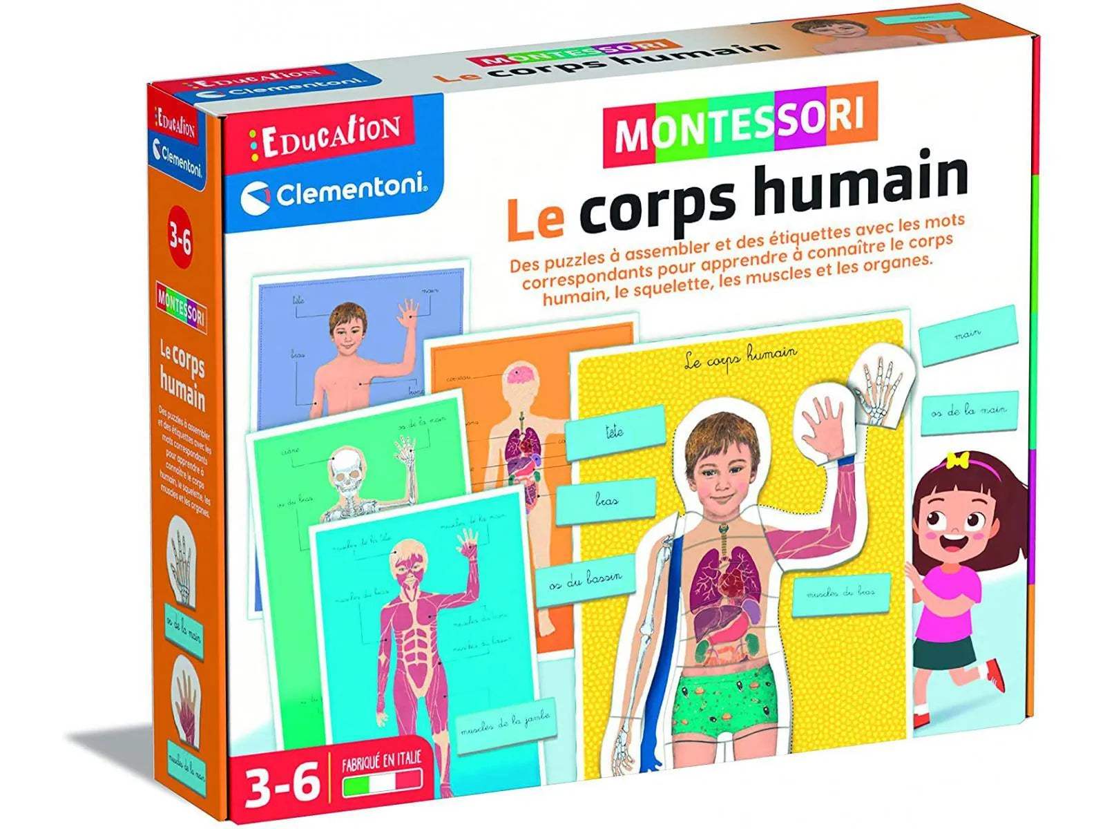 LE CORPS HUMAIN - MONTESSORI - babyboss toys - pour bébé Maroc -www.babyboss.ma