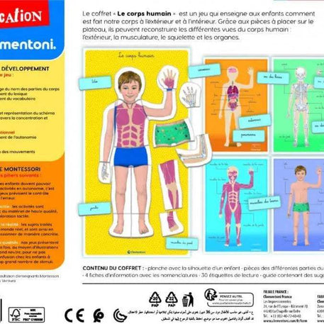 LE CORPS HUMAIN - MONTESSORI - babyboss toys - pour bébé Maroc -www.babyboss.ma