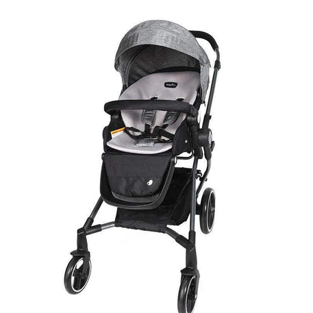 عربة أطفال قابلة للعكس باللون الرمادي الجديد -EVENFLO - BABYBOSS