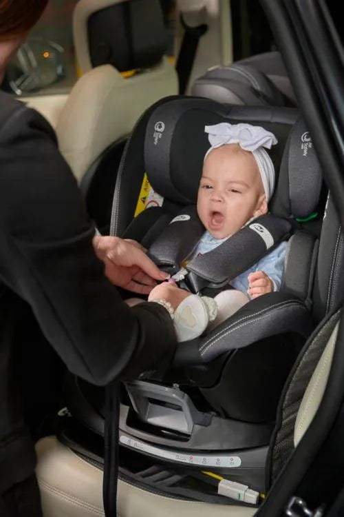 مقعد سيارة فينيسيا 0 + 1 مجموعة i-size - BABYBOSS