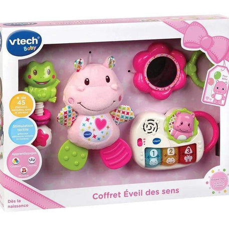 صندوق الولادة الوردي Vtech 0-36m - موقع BABYBOSS Vtech مخصص للأمهات ورعاية الأطفال. ألعاب موسيقية